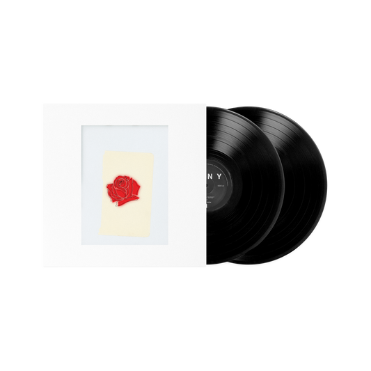 "LANY BY LANY" VINYL
